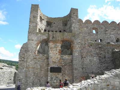 P8100528