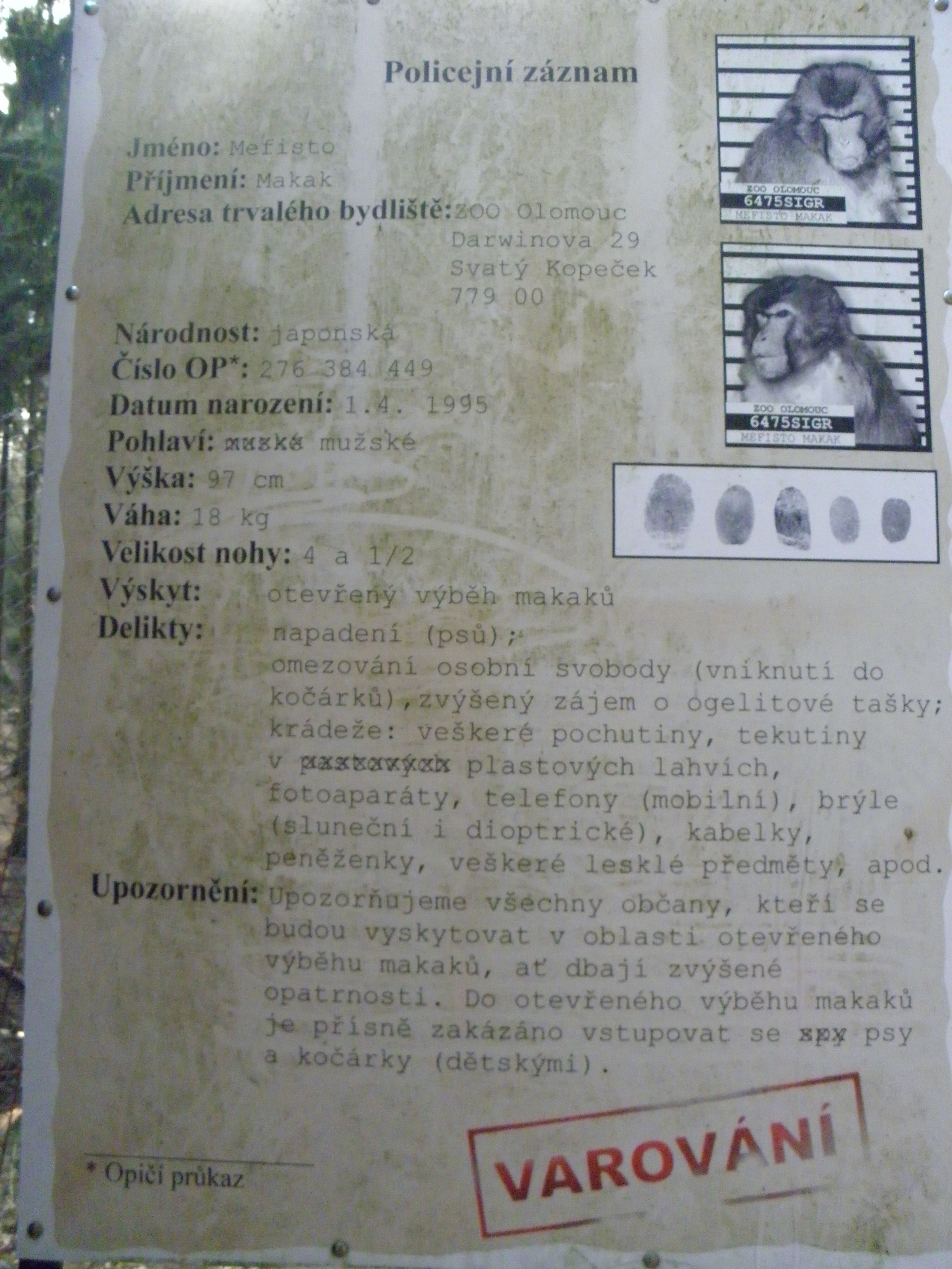 P3150239